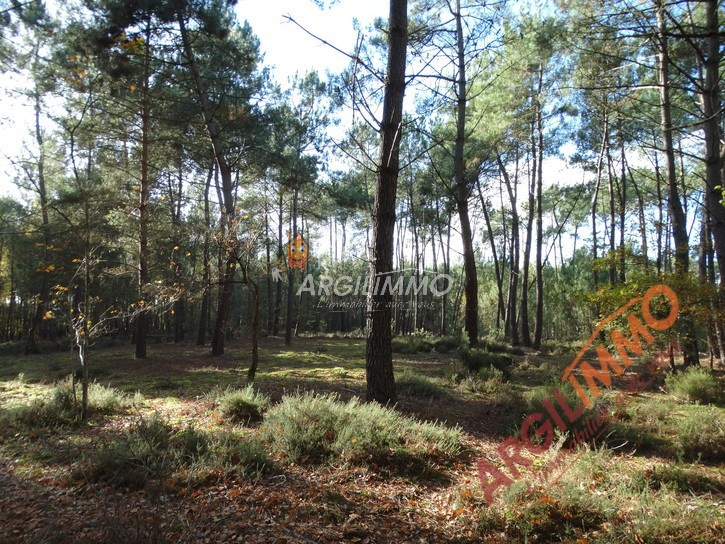 Maison en Vente sur le secteur de le breil sur merize