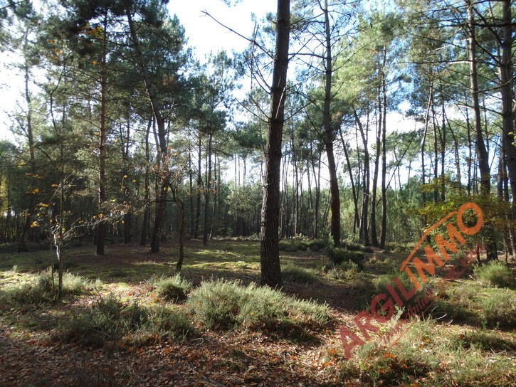 Maison en Vente sur le secteur de le breil sur merize